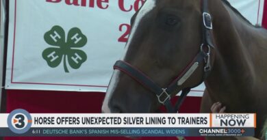 horse-offers-unexpected-silver-lining-to-trainers-–-channel3000.com-–-wisc-tv3