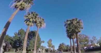 phoenix-housing-market-showing-signs-of-cooling-off,-analyst-says-–-fox-10-news-phoenix