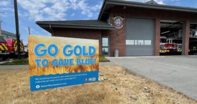 ‘go-gold’:-city-of-spokane-urges-community-members-to-reduce-lawn-watering-to-combat-drought-–-krem.com
