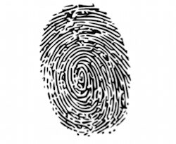 without-fingerprinting,-senior-living-workers-barred-from-providing-direct-care-–-news-–-mcknight’s-senior-living