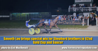 smooth-lou-brings-special-win-for-shepherd-brothers-in-62nd-gold-cup-and-saucer-–-harness-racing-update