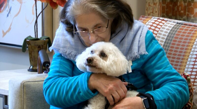 puppy-cuddles-combat-covid-isolation-for-seniors-at-fairfax-assisted-living-community-–-wdvm-25
