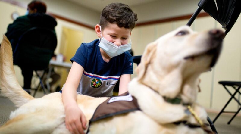 therapy-dogs-offer-comfort-to-roanoke-valley-residents-receiving-covid-19-vaccines-–-roanoke-times