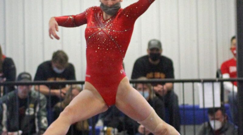‘our-girls-gave-all-they-had’:-mount-horeb-gymnastics-claims-silver-at-div-2-state-meet-–-madison.com