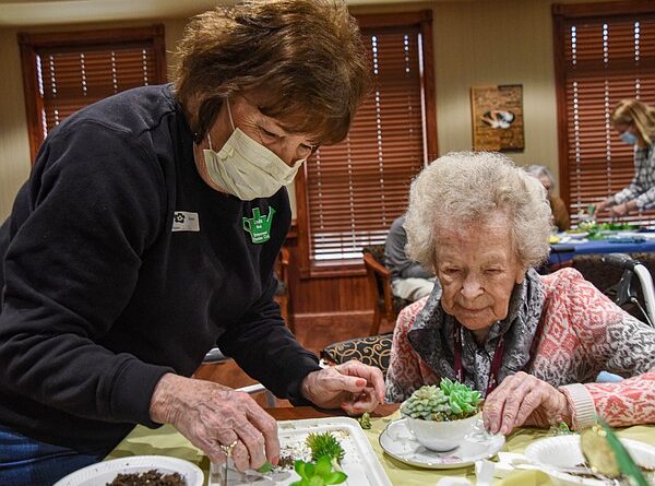 retirement-community-residents-‘plant’-succulents-–-jefferson-city-news-tribune