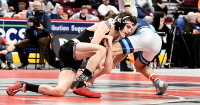 brockway’s-palmer-wins-silver,-stewart-6th-at-states-–-the-courier-express